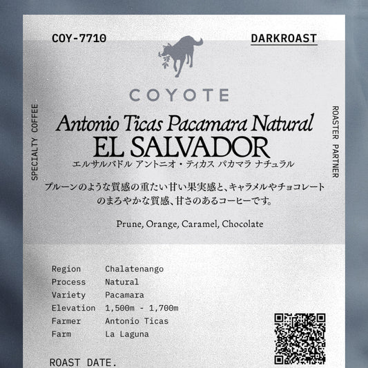 COYOTE エルサルバドル アントニオ・ティカス パカマラ ナチュラル 深煎り (COY-7710)