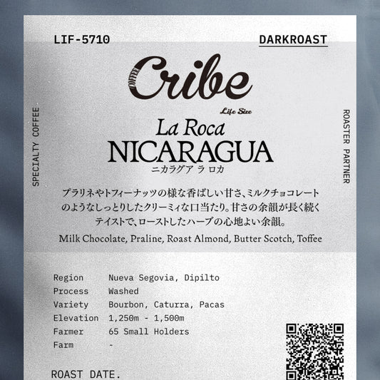 Life Size Cribe ニカラグア ラ ロカ 深煎り(LIF-5710)